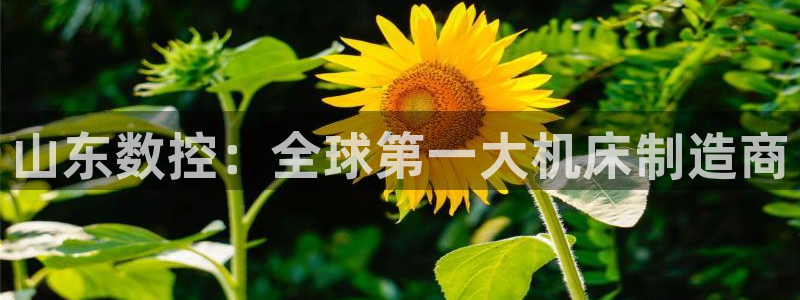 天辰娱乐平台安全吗