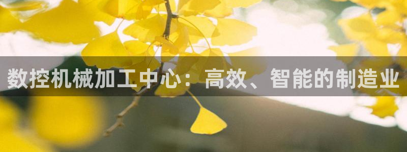 天辰娱乐84566