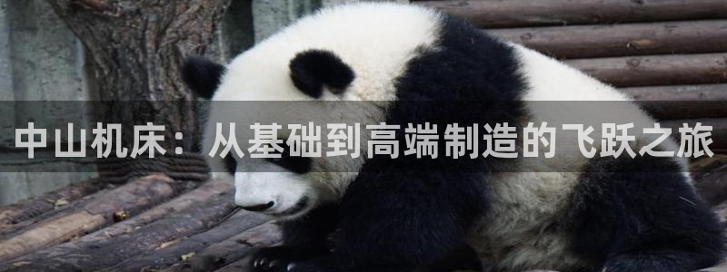 天辰娱乐地址