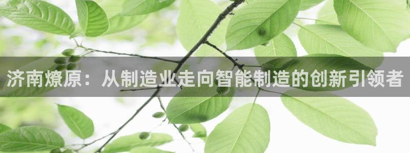 天辰娱乐 主管